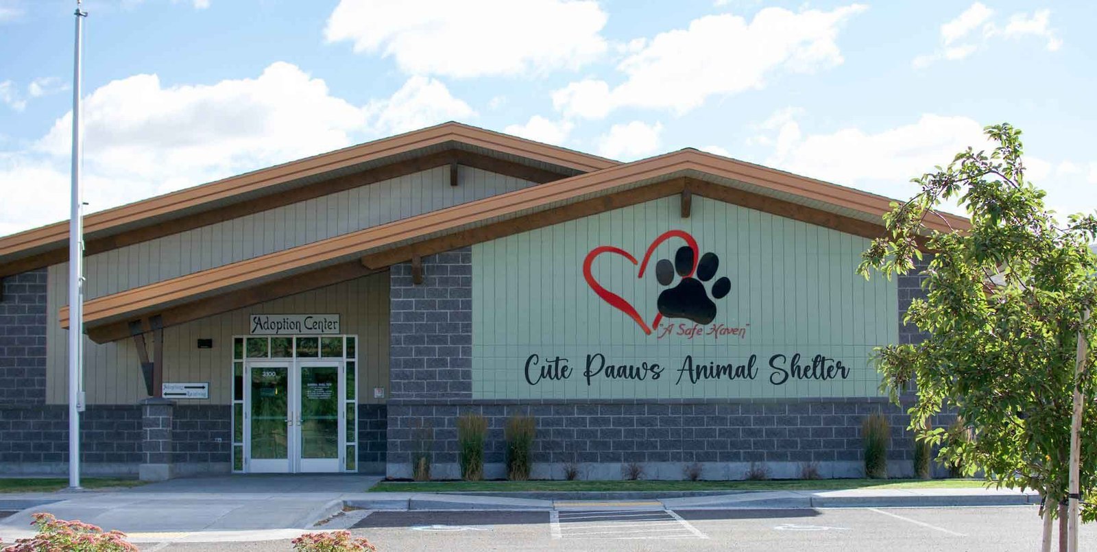 cute paaws shelter